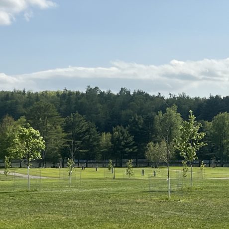 View of the RV sites